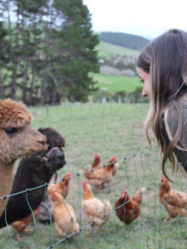 Pukeatua Farmstay (Foto: Heidi Moriyama)