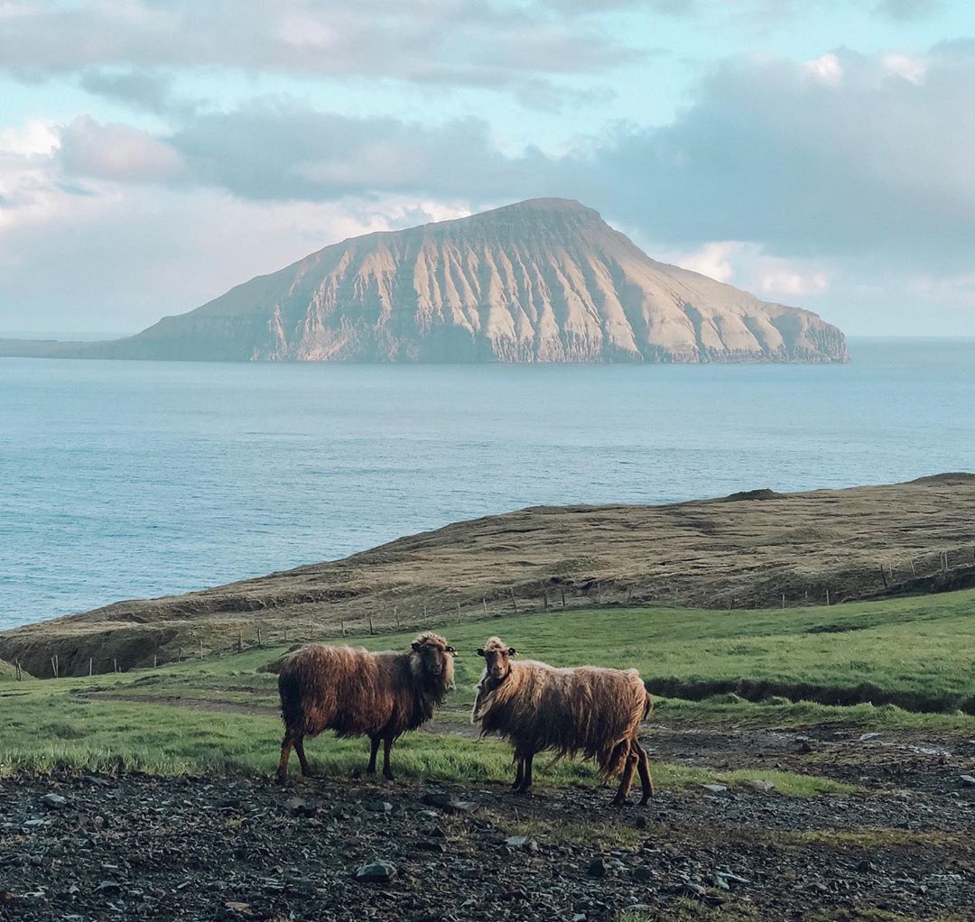 Faroe Islands (Foto: Trip To Follow)