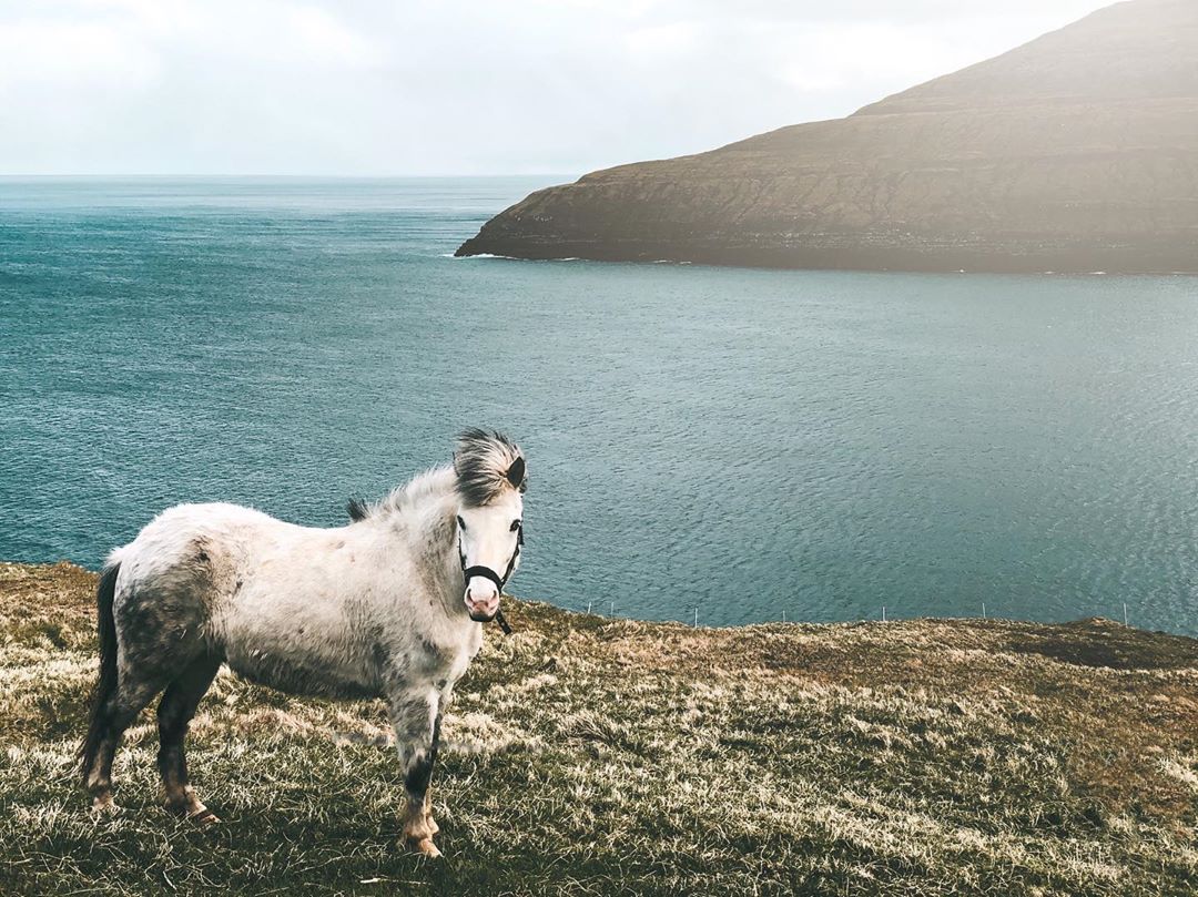 Pelas estradas de Faroe Islands (Foto: Trip To Follow)