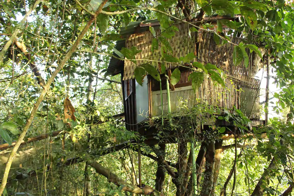 Casa na árvore (Foto: Divulgação/Airbnb)